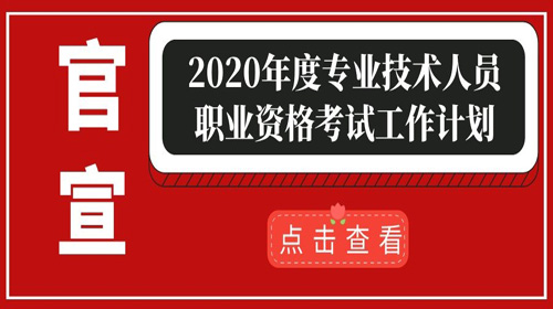 中国人事考试网：2020年度专业技术人员职业资格考试工作计划