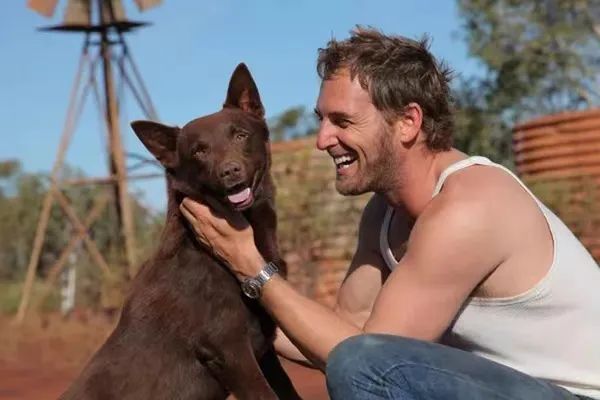消防犬 电影_播放消防犬电影_消防狗的电影叫什么名字