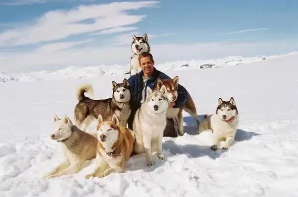消防狗的电影叫什么名字_消防犬 电影_播放消防犬电影