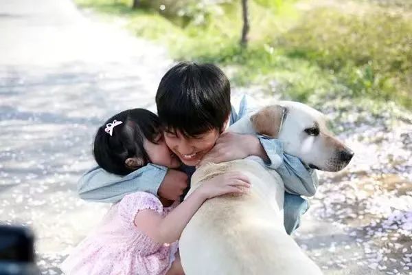 播放消防犬电影_消防犬 电影_消防狗的电影叫什么名字