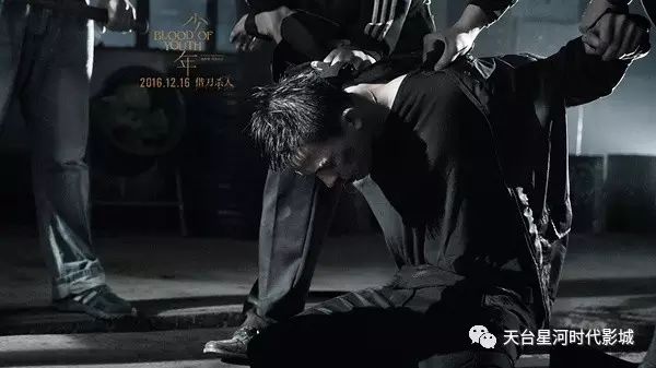 消防犬 电影_播放消防犬电影_电影消防犬的主要内容