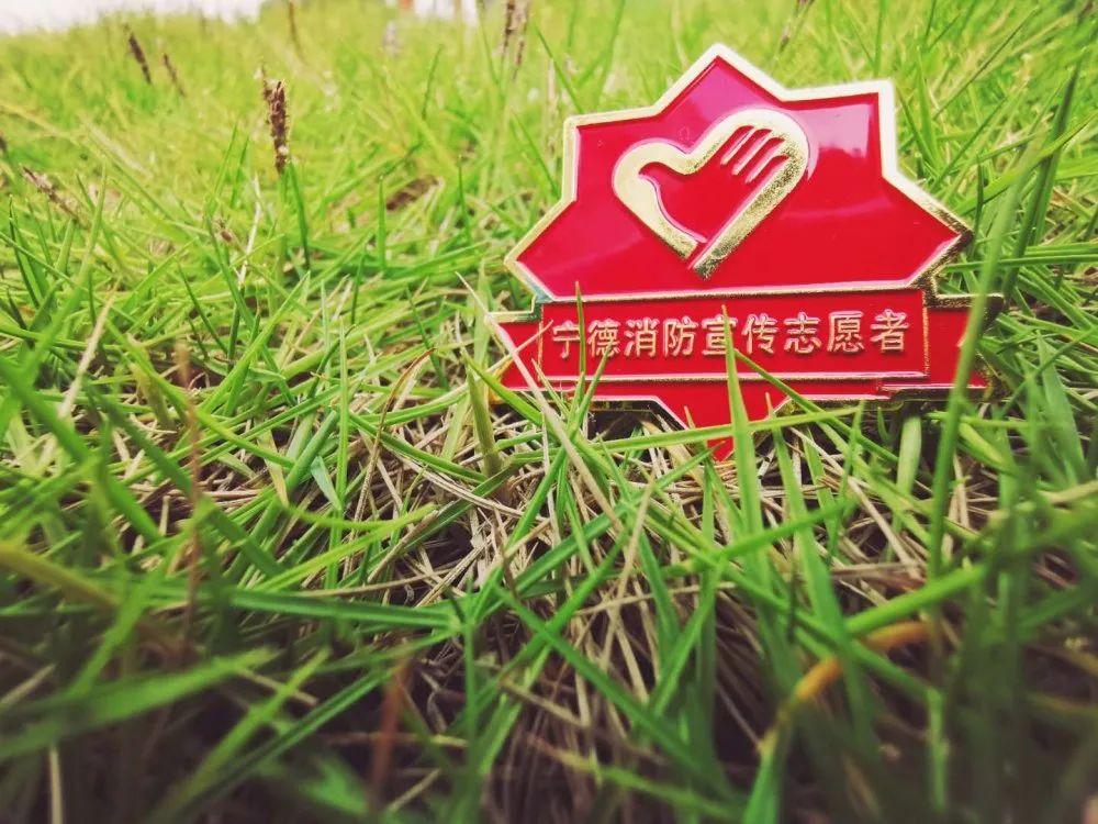 志愿者消防队活动方案_消防志愿者活动方案_消防志愿者服务活动方案
