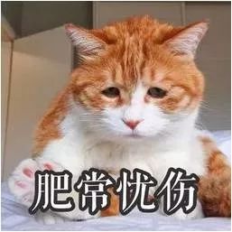 不是注册的消防工程师_消防注册师工程是做什么的_消防注册师工程是干什么的