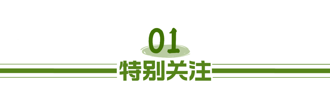 四川公务员考试怎么报名_公务员报名四川考试地点_公务员报名四川考试时间