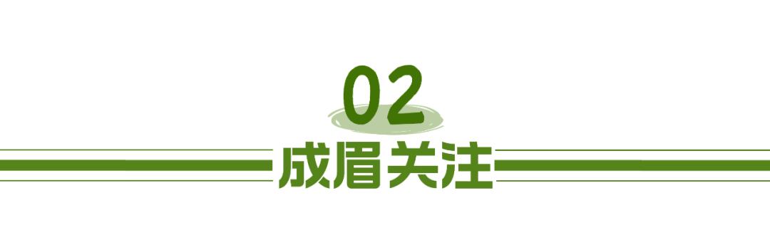 公务员报名四川考试时间_四川公务员考试怎么报名_公务员报名四川考试地点
