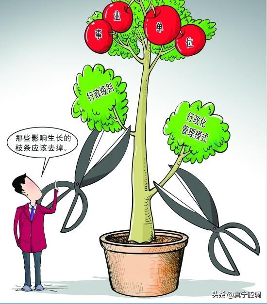 参公在行政单位_编制行政单位参公有编制吗_参公单位有行政编制吗