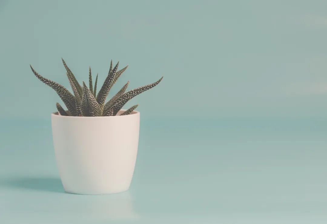 全职考消防师工程师有用吗_全职考消防工程师_消防工程师要全日制大专吗