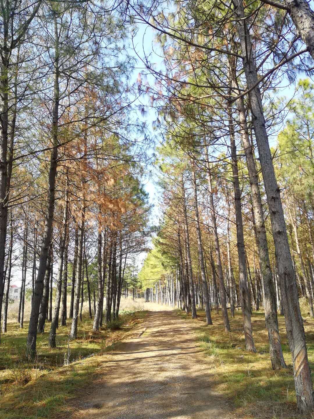 消防工程师执业规定_消防工程师最新法律法规_消防工程师相关规定