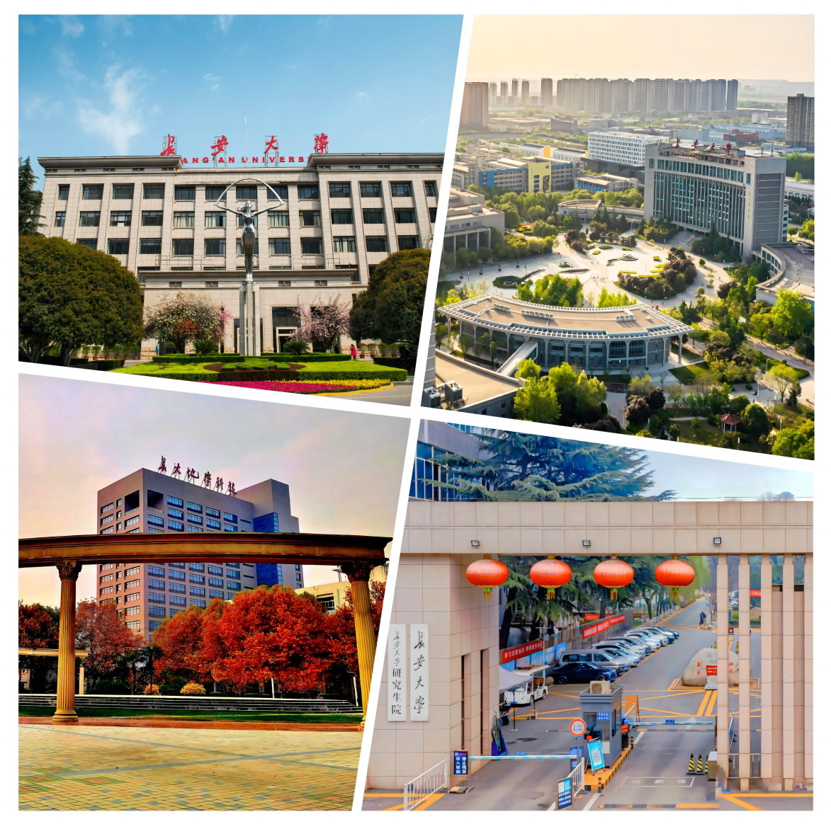 成都体育老师招聘网_成都高校体育教师招聘2024_成都体育教师最新招聘