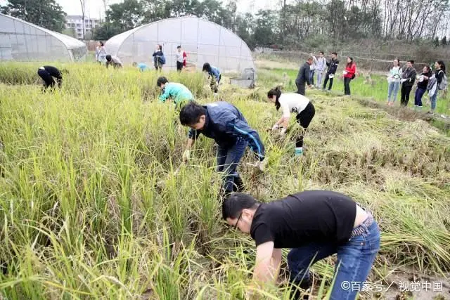 平度农村教师工资_工资农村平度教师多少钱_工资农村平度教师多少