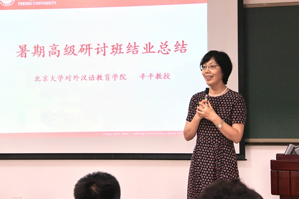 北京对外汉语教师培训_北京对外汉语教师资格证培训_北京汉语教师培训基地