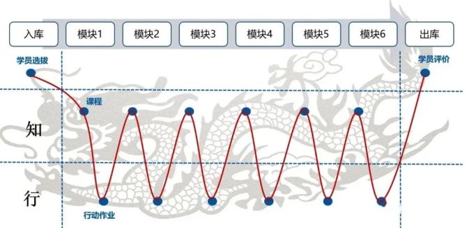 高绩效HR, 如何给人才培养项目起一个好名字？