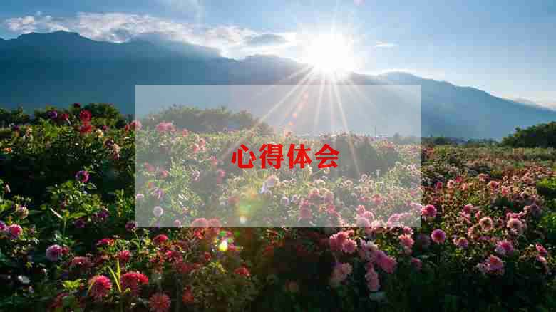 小学英语新教师培训心得优质6篇