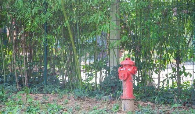 消防回车标识_消防回车场_消防回车场什么意思