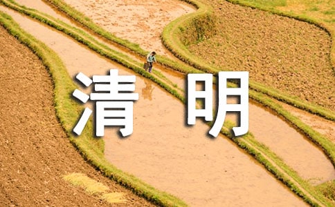 清明节祭扫讲话稿（通用8篇）