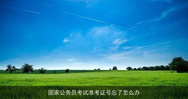 公务员没有准考证可以考试吗_国家公务员考试准考证号忘了怎么办_公务员忘记准考证