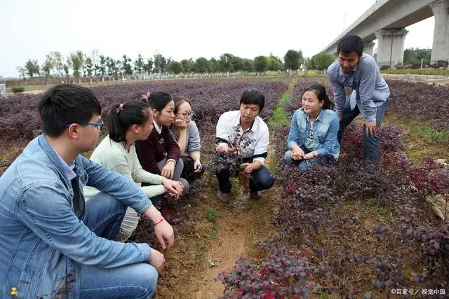 公务员报考要求大学生村官_大学生村官报考公务员条件_大学生村官报考公务员条件