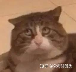 行测数量关系太难了_行测数量关系难题大全_行测数量关系为什么这么难