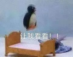 教师资格考试报名指南：流程、时间、渠道及注意事项图1