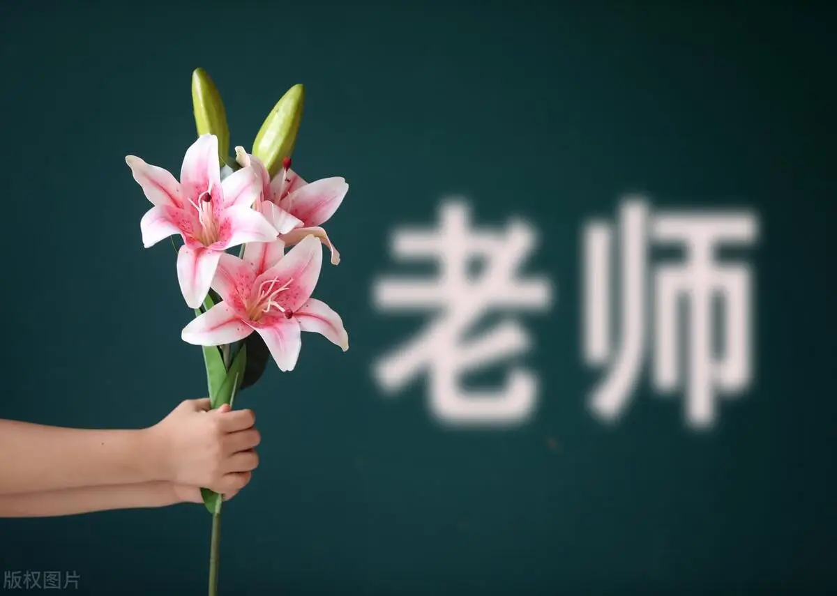 工资教师招聘_2024教师工资工资_工资教师工资