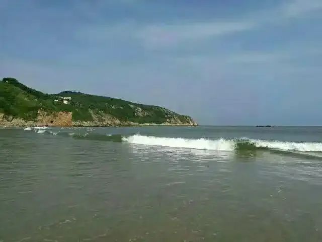 沈阳热电厂是国电吗_沈阳国电集团_国电沈阳热电有限公司