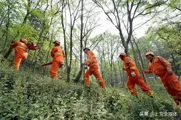 森林消防知识安全手抄报_森林消防安全知识_森林消防安全常识