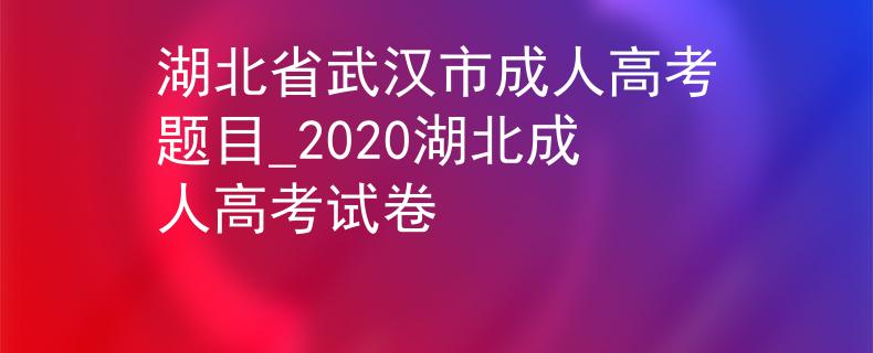 湖北省武汉市成人高考题目_2020湖北成人高考试卷