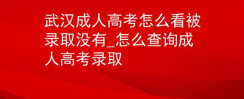 武汉成人高考怎么看被录取没有_怎么查询成人高考录取