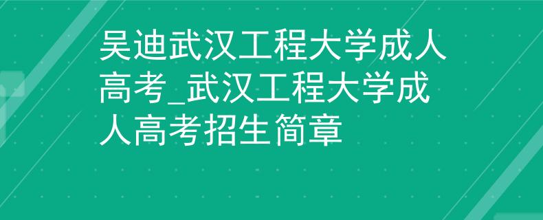 吴迪武汉工程大学成人高考_武汉工程大学成人高考招生简章