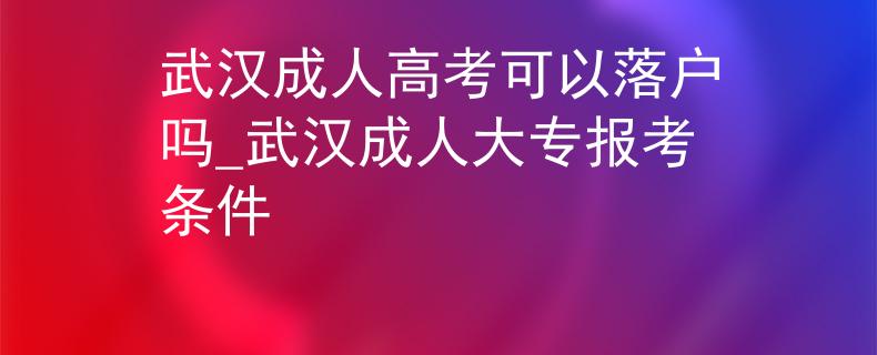 武汉成人高考可以落户吗_武汉成人大专报考条件