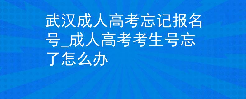 武汉成人高考忘记报名号_成人高考考生号忘了怎么办
