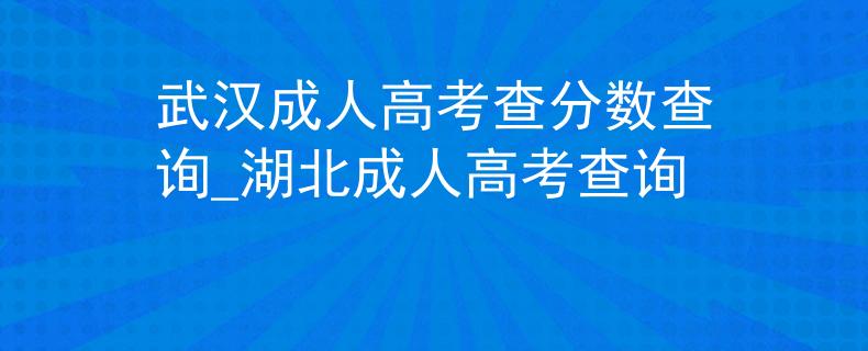 武汉成人高考查分数查询_湖北成人高考查询