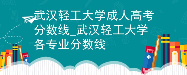 武汉轻工大学成人高考分数线_武汉轻工大学各专业分数线