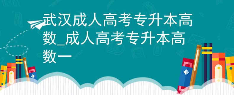 武汉成人高考专升本高数_成人高考专升本高数一