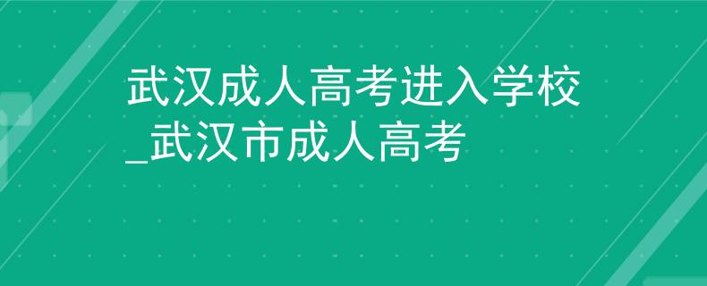 武汉成人高考进入学校_武汉市成人高考