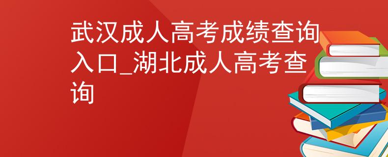 武汉成人高考成绩查询入口_湖北成人高考查询