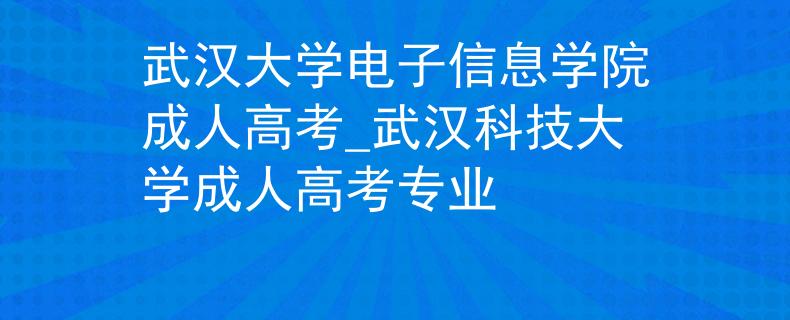武汉大学电子信息学院成人高考_武汉科技大学成人高考专业