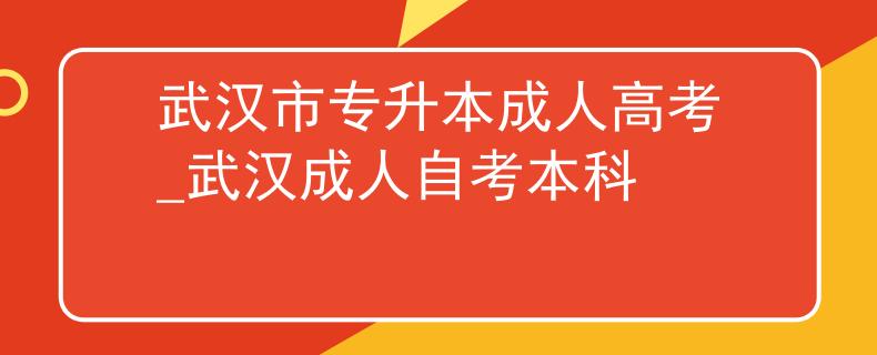 武汉市专升本成人高考_武汉成人自考本科