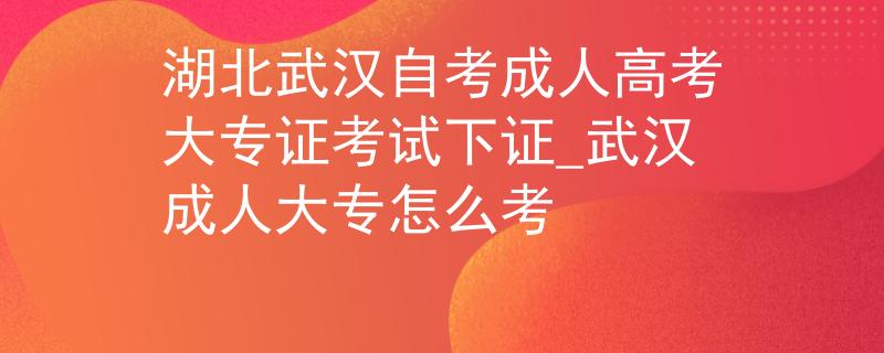 湖北武汉自考成人高考大专证考试下证_武汉成人大专怎么考