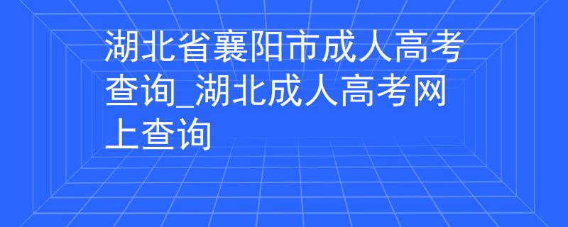 湖北省襄阳市成人高考查询_湖北成人高考网上查询