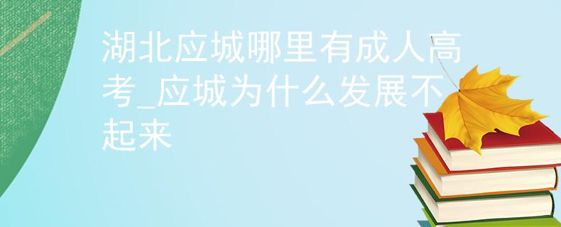 湖北应城哪里有成人高考_应城为什么发展不起来