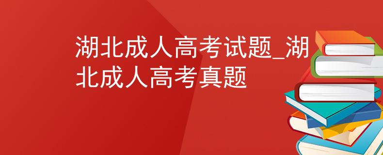 湖北成人高考试题_湖北成人高考真题