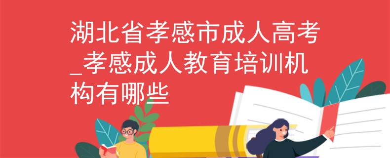 湖北省孝感市成人高考_孝感成人教育培训机构有哪些