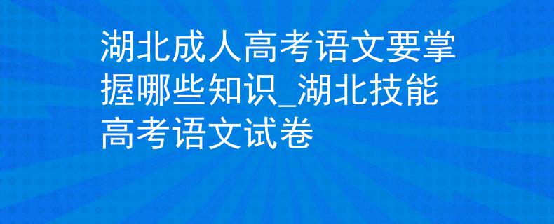 湖北成人高考语文要掌握哪些知识_湖北技能高考语文试卷