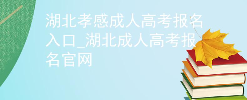 湖北孝感成人高考报名入口_湖北成人高考报名官网