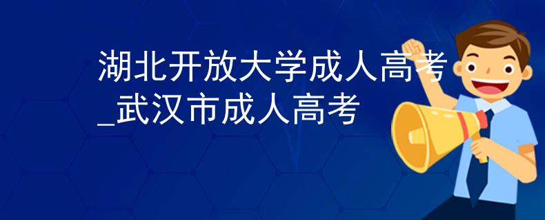 湖北开放大学成人高考_武汉市成人高考