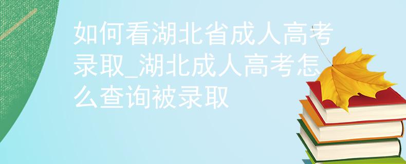 如何看湖北省成人高考录取_湖北成人高考怎么查询被录取