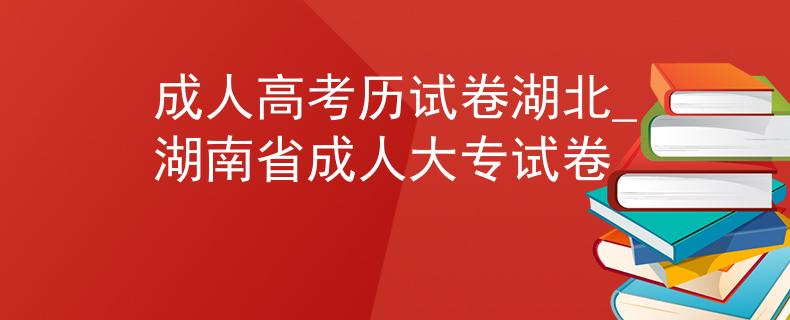 成人高考历试卷湖北_湖南省成人大专试卷