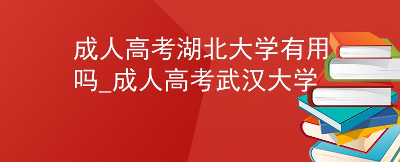 成人高考湖北大学有用吗_成人高考武汉大学