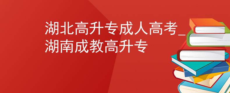 湖北高升专成人高考_湖南成教高升专